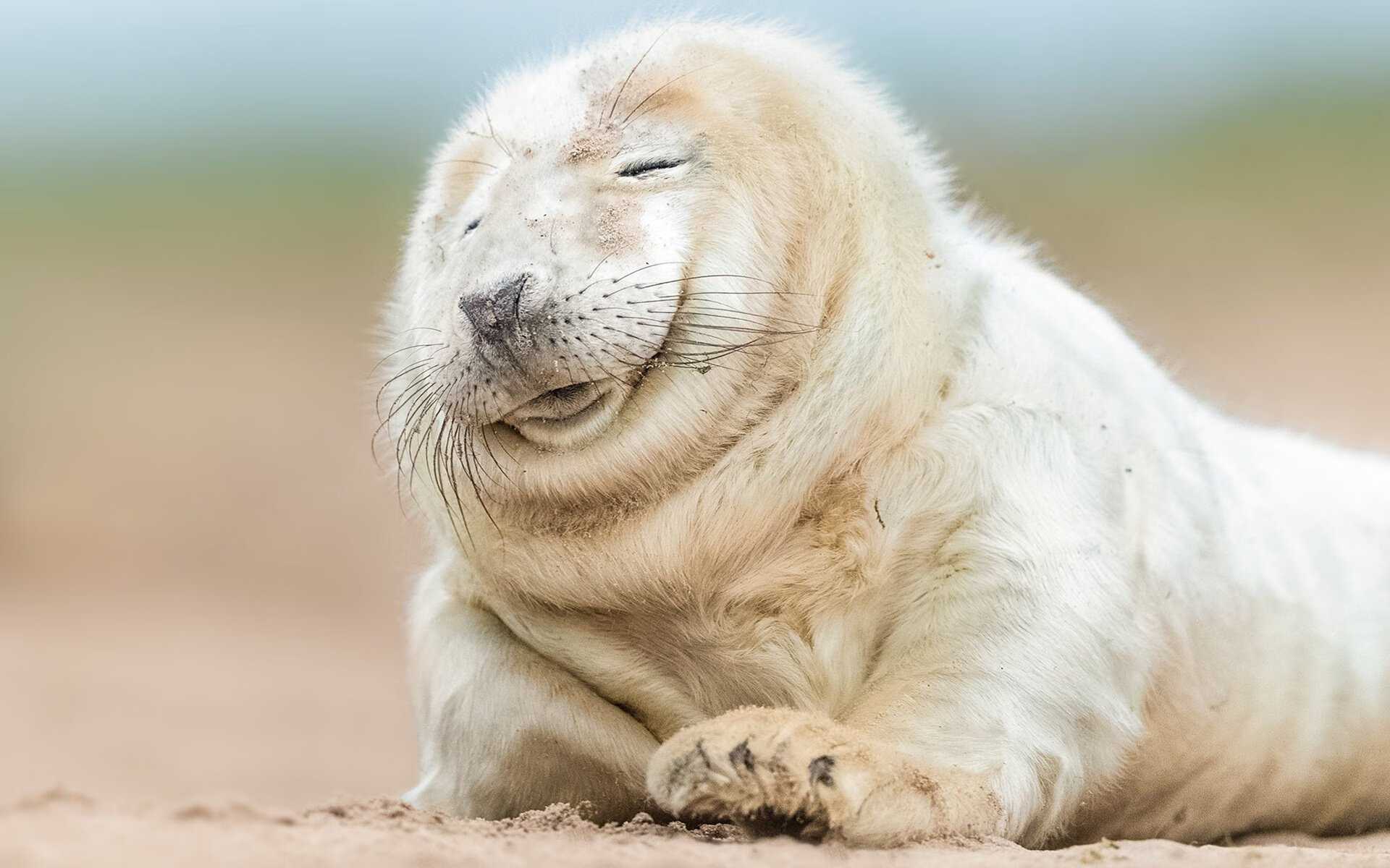 “官方:2025中超最强阵容预测出炉”,202l中超