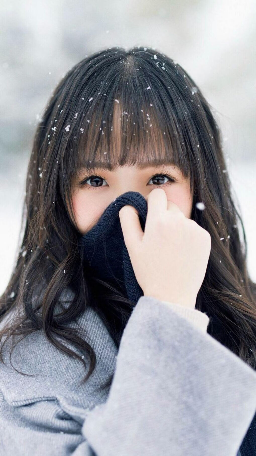 开云入口-“跃过悬崖：悬崖绝壁的极速飞跃”，跨过悬崖是什么歌里的词