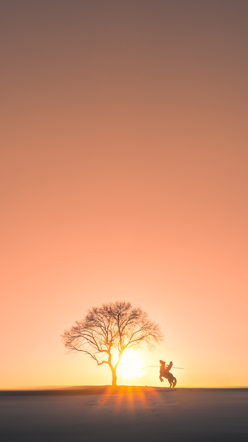 国际影响力:NBA在全球的文化推广新路径,nba体现的美国文化