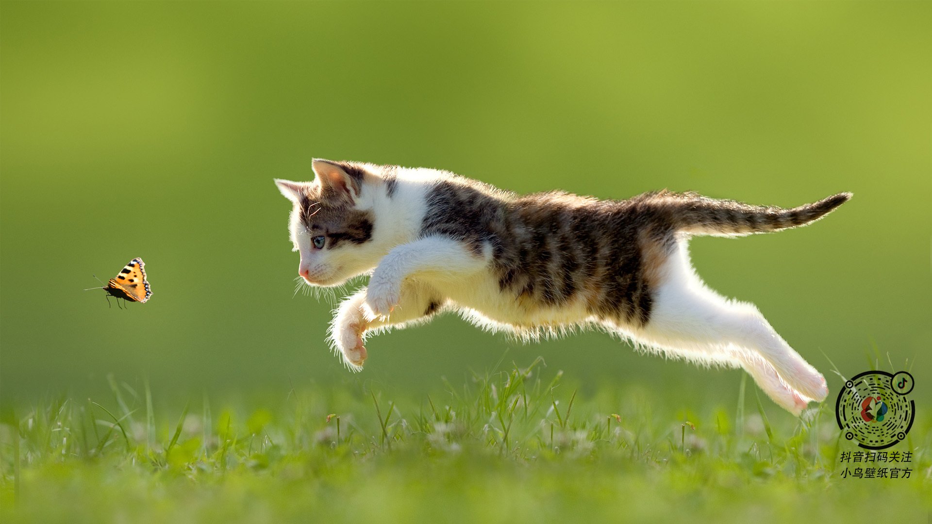 kaiyun网站-普拉提课程在企业员工健康管理中应用广泛，普拉提在运动康复领域的应用