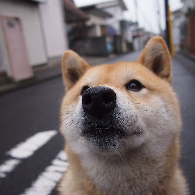 开云中国大陆-火箭启动“女性篮球教练培养计划”，促进性别平等，火箭队女队员叫什么