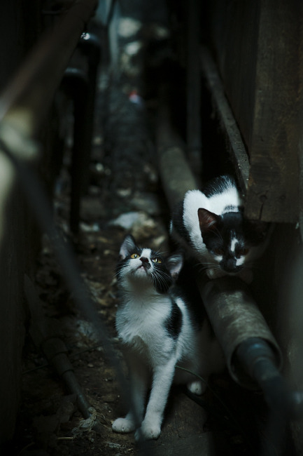 Kaiyun(中国)开云-瑜伽选手在国际比赛中获得最佳表现奖，世界瑜伽冠军的表演