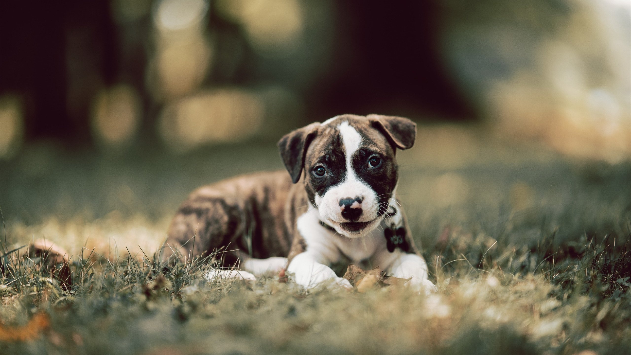 瑜伽选手在国际比赛中获得最佳表现奖，世界瑜伽冠军的表演