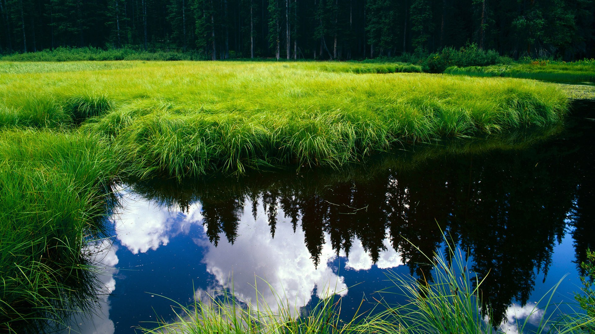 开云官网APP下载-助教突然离队，球队管理层深夜急急闭门会议，nba助教