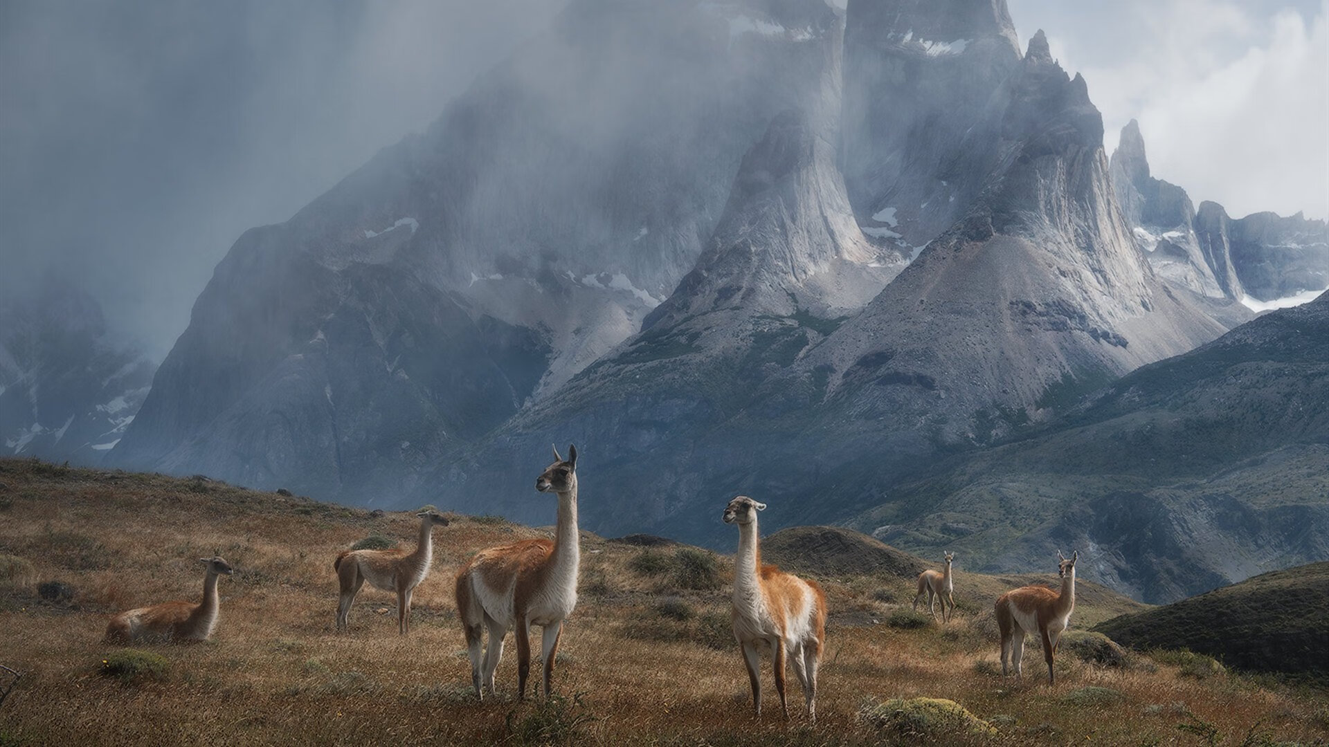 勇士队战绩持续攀升，勇士队战况